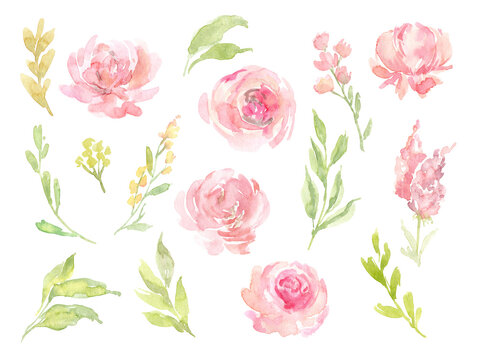 Watercolor pink flowers and green leaves isolated illustration