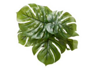 plastic leaves, png file, 