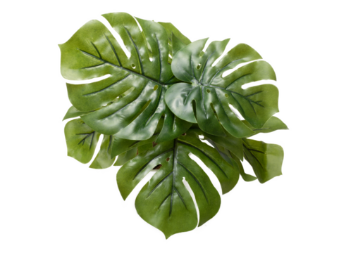 plastic leaves, png file, 