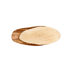 Watercolor wood slice clipart Illustration