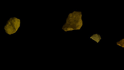 leaf on black background