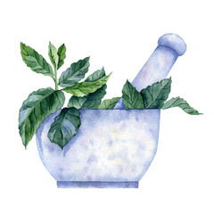 Mortar and pestle and mint leaves watercolor element isolated on transparent background