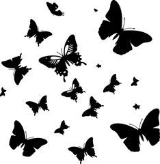 Fototapeta premium Collection of butterflies silhouettes