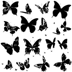 Fototapeta premium Collection of butterflies silhouettes