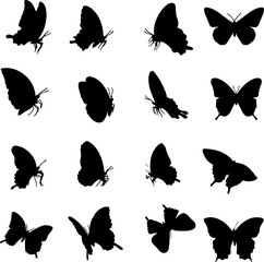 Collection of butterflies silhouettes