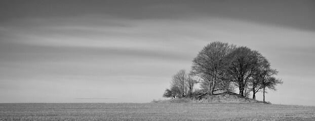 Landscape, black and white hill with trees or winter on cold morning for weather or mockup space....