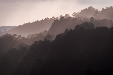 Sunset on the hilltop at Borneo rainforest sun rays going through the clouds Malaysia