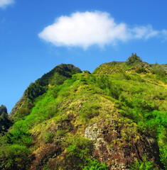 Fototapeta na wymiar Mountain, forest and natural landscape with blue sky, summer and calm clouds on peak at travel location. Nature, cliff and sustainable environment with earth, Hawaii and tropical holiday destination