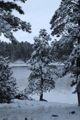 Kaibab Lake, Arizona