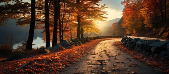 Road in beautiful autumn forest mountains at sunset - Powered by Adobe
