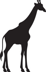 Giraffee Silhouette Vector Illustration White Background