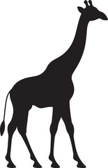 Giraffee Silhouette Vector Illustration White Background