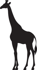 Giraffee Silhouette Vector Illustration White Background