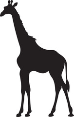 Giraffee Silhouette Vector Illustration White Background