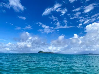 Foto auf Acrylglas Le Morne, Mauritius Beautiful landscape of Mauritius island with turquoise lagoon