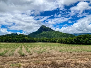 Store enrouleur sans perçage Le Morne, Maurice Beautiful landscape of Mauritius island with turquoise lagoon