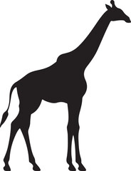 Giraffee Silhouette Vector Illustration White Background