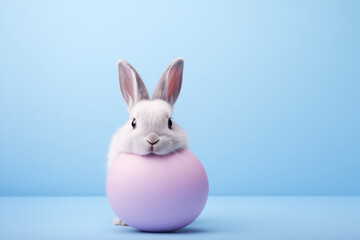 Fototapeta na wymiar Easter bunny with egg on a blue background