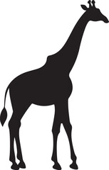 Giraffee Silhouette Vector Illustration White Background