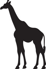 Giraffee Silhouette Vector Illustration White Background