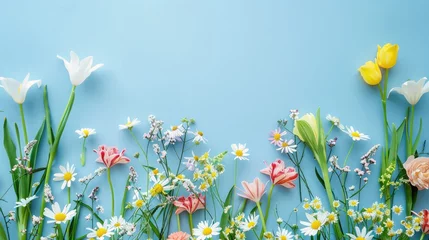 Gordijnen Spring and summer wildflowers. Flowers on blue background © YauheniyaA