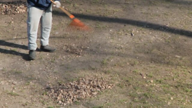 A man removes leaves from his plot with a rake in spring