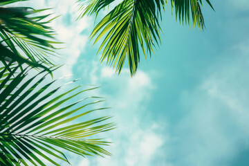 Palm Sunday concept, green palm tree leaves on natural sky