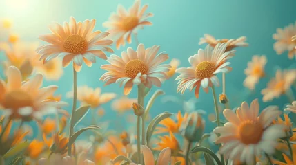 Deurstickers Beautiful, colorful chamomile daisy flowers. Floral composition © ND STOCK