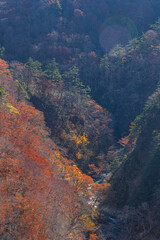 日本　青森県青森市の十和田八幡平国立公園内にある城ヶ倉大橋から見える城ヶ倉渓流の紅葉