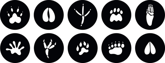 Paw print silhouette. Isolated paw print on white background