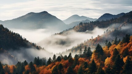 Autumn Landscape with colorful green and orange trees, High Mountains, Fog against the Sky.