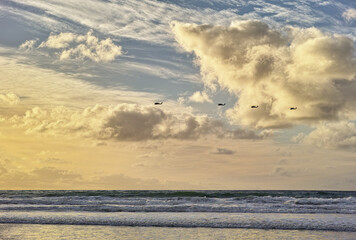 Beach, ocean and blue sky with line of birds, clouds and water on shoreline with sunshine. Waves, sunrise and dawn in seaside San Diego, coastal migration or moving of animals and horizon in nature
