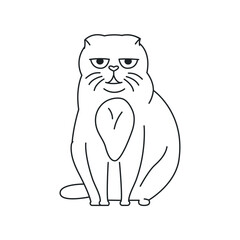 Sitting scottish fold cat color element. Cartoon cute animal.