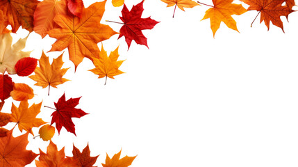 Frame of scattered autumn dry red-orange maple leaves, isolated cutout object on transparent background.