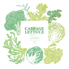 Hand drawn cabbage and lettuce. Engraved style graphic elements. Square frame border design