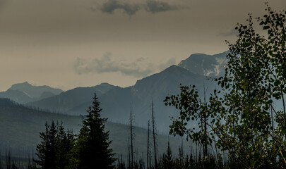 Rockies, forests and river along the Banff Windermer HWY Kootenay National Park British Columbia Canada