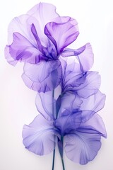 Lilac color Iris flowers. Generative AI