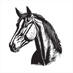 Fototapeta na wymiar Horse silhouette animal logo black horses graphic vector illustration