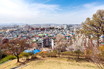 대동하늘공원에서 본 대전 시내의 풍경