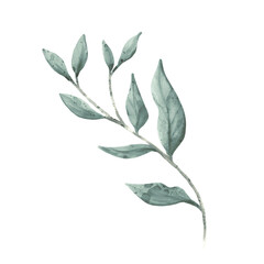 watercolor leave, branches