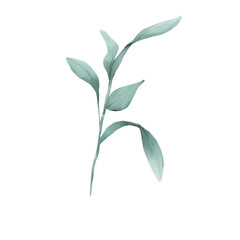 watercolor leave, branches