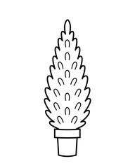Thuja. Hand drawn sketch icon of coniferous plant in a pot. Isolated vector illustration in doodle line style.