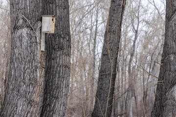 housing for birds, birdhouse made of boards on a tree in the forest in winter
