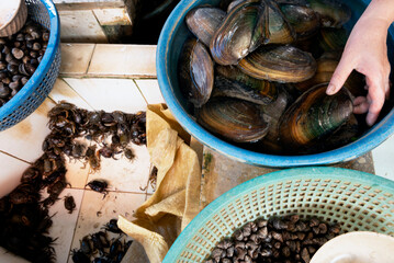 Mussels,soft shell crabs and snails in the market in Vietnam