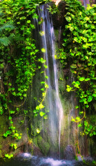 Waterfall, nature and river in forest, jungle and green leaves in tropical environment. Plants, rural and spring season in rainforest of Puerto Rico, rain and landscape in dark scenic woods outdoors