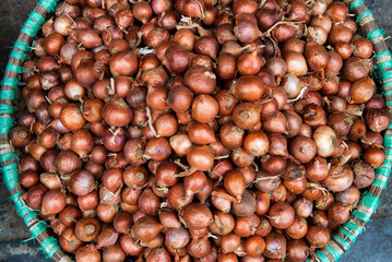 Basket of shallots