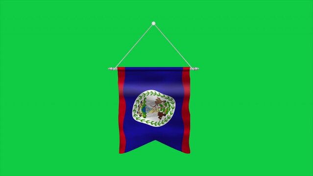 High detailed flag of Belize. National Belize flag. North America. 3D Render. Green background.