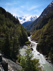 A meandering river flows gracefully amidst a vibrant, verdant forest