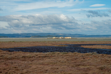 landscape with a field, Nadière Island