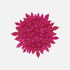 red flower isolated on white